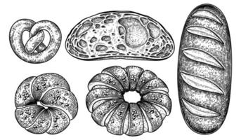Brot handgezeichnete Skizze dekoratives Set vektor