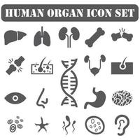 mänskliga organ ikoner vektor