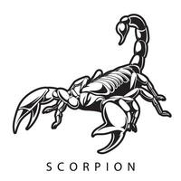 skorpion logotyp mall. vektor illustration av en scorpion