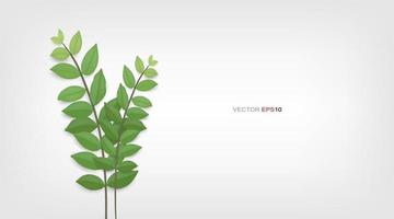 gröna blad och trädgrenar. vektor