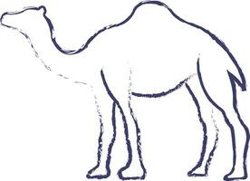 kamel hand dragen vektor illustration