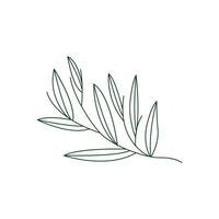 minimalistisch feminin botanisch Blume Schönheit Linie Pflanze Logo, Design Vektor Illustration