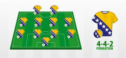 Bosnien und Herzegowina National Fußball Mannschaft Formation auf Fußball Feld. vektor