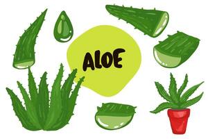 Aloe vera medizinisch Pflanze Blätter Stecklinge und Saft Tropfen Elemente Sammlung auf transparent Hintergrund realistisch Vektor Illustration,