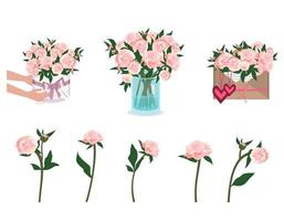 Hände mit Strauß Pfingstrosen. Blumen in Vase, Umschlag und runder Schachtel vektor