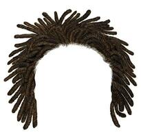 trendig afrikansk lång hår dreadlocks . realistisk 3d . mode skönhet stil . vektor