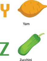 Alphabet yz letter.yam, Zucchini .vector vektor