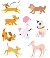 uppsättning hundar av olika raser. roliga djur. vektor