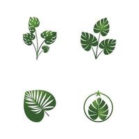 monstera leaf logo vektor design