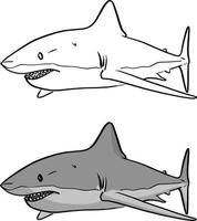 grauer Hai Vektor-Illustration Skizze Doodle Hand gezeichnet vektor