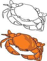 orange runde krabbenvektorillustration skizze doodle vektor