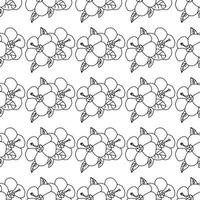 sömlösa mönster plumeria blommor - vektor illustration