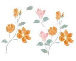 Hand gezeichnet Jahrgang Magnolie Blume vektor