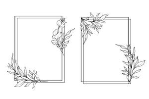 Blumen- Frames Linie Kunst, fein Linie Eukalyptus Frames Hand gezeichnet Illustration. Eukalyptus Gliederung rahmen. vektor