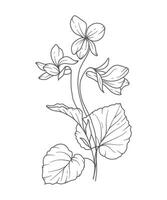 violett blomma linje konst. violett blomma översikt illustration. februari födelse månad blomma. violer översikt isolerat på vit. hand målad linje konst botanisk illustration. vektor