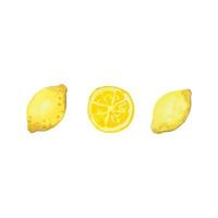 akvarell tre form av citroner vektor