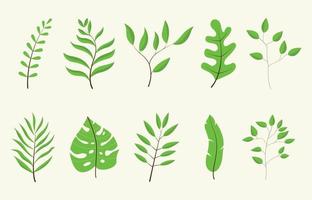 Blatt oder Blätter grüner Baum Set Sammlung vektor