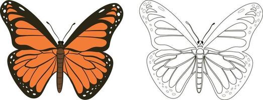 fjäril eller rhopalocera vektor illustration