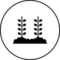 Weizen Plantage Vektor Symbol