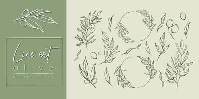 uppsättning av oliv grenar och löv i linje minimal stil. vektor illustrationer av grenar med frukt och löv för logotyper, mönster, hälsning kort, bröllop inbjudningar, social media, webb design.