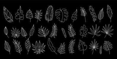 Handgezeichneter Satz tropischer Blätter in Silhouetten. vektor