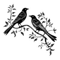 svart illustration design av två fåglar på en träd gren på en vit bakgrund vektor