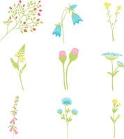 Blumen- Satz, winzig Blumen Vektor Illustrationen, botanisch