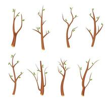 uppsättning av träd grenar med grön löv ikon design. först vår löv. eco symbol begrepp isolerat på vit bakgrund. vektor illustration. lövfällande växt vektor illustration i platt stil.