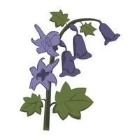 Bluebell Blume Farbe ClipArt Design vektor