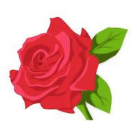 Rose Blume Farbe ClipArt Design vektor