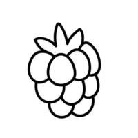 Hand gezeichnet Linie Himbeeren Obst Beeren Gliederung Symbol Vektor Gekritzel Illustration, geeignet zum Färbung Buch, Logo, Illustration, Aufkleber, Startseite