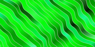 ljusgrön vektorbakgrund med kurvor. vektor