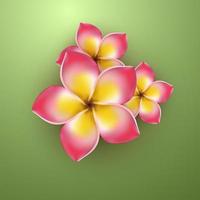 realistisk gulrosa tropisk blomma vektor