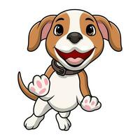 süß wenig Hund Karikatur auf Weiß Hintergrund vektor