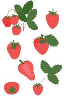 Erdbeerbeeren auf weißem Hintergrund, Vektorillustration. vektor