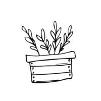 hölzern Box mit wachsend Pflanzen. Pflanzen Verfahren. Zuhause Gartenarbeit, Gartenbau Pflege zum das Umgebung Konzept. Vektor Illustration im Karikatur Stil. isoliert auf Weiß Hintergrund.