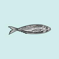 Makrele Fisch Hand gezeichnet Vektor Illustration