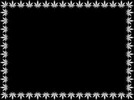 Rahmen Arbeit erstellen von Cannabis ebenfalls bekannt wie Marihuana Blatt Silhouette, können verwenden zum Dekoration, aufwendig, Hintergrund, rahmen, Raum zum Text von Bild, oder Grafik Design. Vektor Illustration