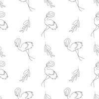 Flamingo Vogel auf Weiß Hintergrund vektor