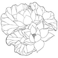 sammansättning med vektor hand dragen lotus blommor och knoppar, löv, svart linje konst illustration. översikt blommig teckning för logotyp, tatuering, förpackning design, kompositioner. vatten lilja botanisk design