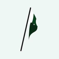 pakistan flagga ikon png vektor