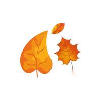 Saison Herbstblätter isolierte Symbol vektor