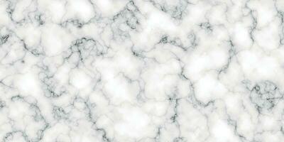 vit marmor bakgrund vektor
