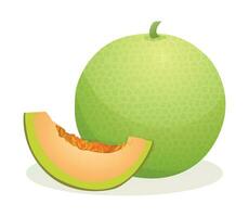 Melone Obst ganze und geschnitten. Vektor Illustration isoliert auf Weiß Hintergrund