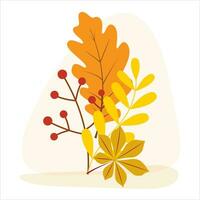 Clip Kunst von Hand gezeichnet von Herbst Blätter und Beeren auf isoliert Hintergrund. warm Hintergrund zum Herbst Ernte, das Erntedankfest, Halloween und saisonal Feier, Textil, Scrapbooking. vektor