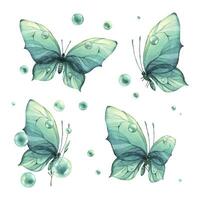Blau, Türkis Schmetterlinge mit ein schön Muster auf das Flügel fliegend mit Tau Blasen. Aquarell Illustration Hand gezeichnet. einstellen von isoliert Elemente auf ein Weiß Hintergrund. vektor