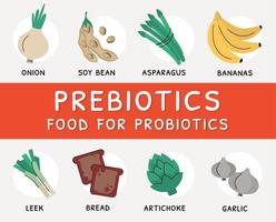 nährstoffreiche Produkte und Quellen für Präbiotika vektor