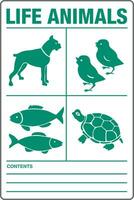 International Versand bildlich Grün Etiketten Leben Tiere Hund Küken Fisch Schildkröte vektor