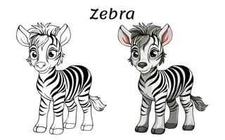 söt zebra djur- färg bok illustration vektor