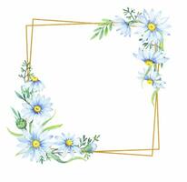 Gold Platz Rahmen mit Apotheker Kamille Blumen. Blumen- Rand von Gänseblümchen, Aquarell Illustration vektor